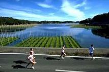 �g��Ȃ܂��̗��}���\��